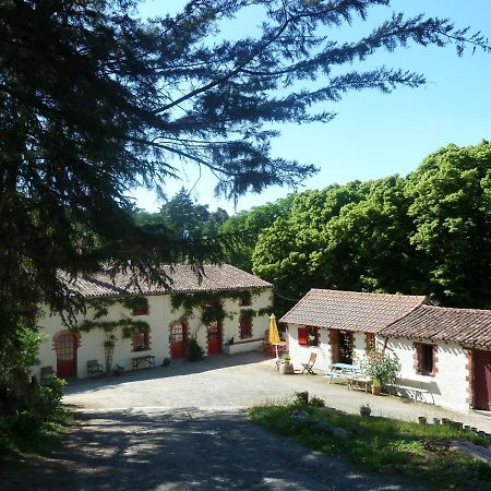 Getigne Chambres D'Hotes - B&B المظهر الخارجي الصورة